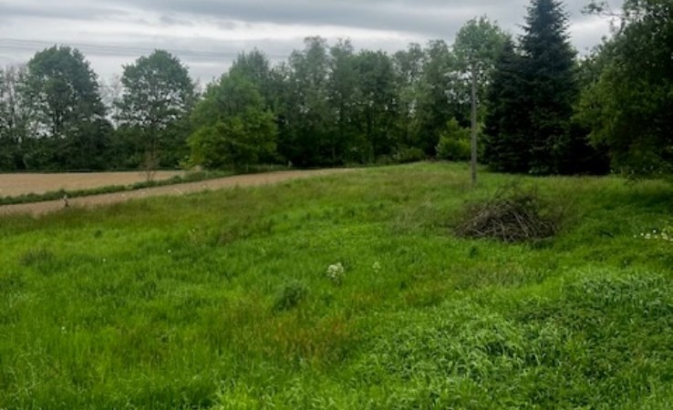 działka na sprzedaż - Brzeźnica
